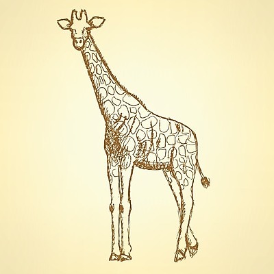 EPS 해외이미지 디자인 일러스트 사람없음 스케치 기린 해외202004 해외일러스트 포유류 미술 파일형식 벡터 이미지허브