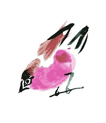 EPS 해외이미지 동물 손 디자인 종이 야생동물 백그라운드 날개 오렌지 일러스트 노래 자연 벽지 조류 추상 수채화 미술 장식 빨간색 반려동물 흰색 신용카드 숲 작음 심볼 깃털 오브젝트 그림 참새 내추럴 고립 동물상 엘리먼트 해외202004 해외일러스트 음악 컬러 무늬 과일 문화예술 신체부위 금융 조형물 크기 생태계 파일형식 벡터 이미지허브