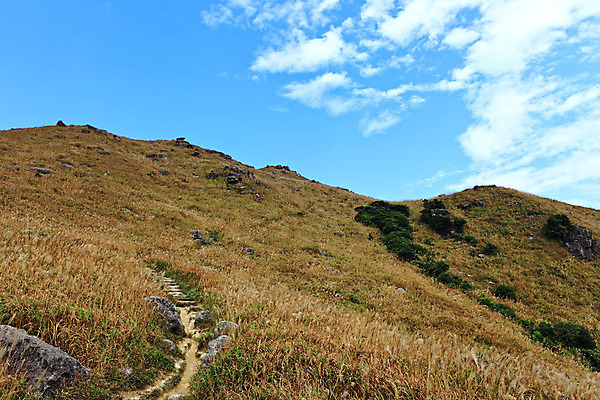 포토 JPG 해외이미지 구름 계절 여행 꽃무늬 자국 자연 하늘 아침 날씨 조명 산 파노라마 이끼 풍경 사람없음 야외 빨간색 초록색 여름 빛 컬러풀 노란색 일출 환경 맑음 일몰 새벽 안개 가을 신선 저녁 언덕 정사각형 내추럴 산악지대 강렬 웅장함 절정 해외202004 해외포토 주간 자연요소 도형 꽃 컬러 무늬 촬영기법 노을 야간 생태계 파일형식 이미지허브