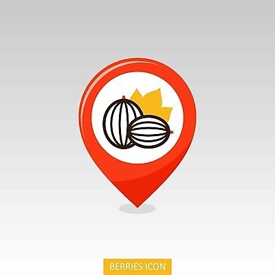EPS 해외이미지 디자인 열매 음식 지도 농업 과일 일러스트 건강 수확 신선 달콤 잼 위치 고립 구스베리 숙성 채식주의자 충고 비건 해외202004 해외일러스트 식물 산업 소스 맛 채식 파일형식 벡터 컨셉 양념 이미지허브