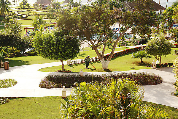 포토 JPG 해외이미지 나무 식물 공원 꽃 모래 바다 섬 여행 백그라운드 컨셉 자국 자연 하늘 추상 휴가 휴식 손바닥 풍경 사람없음 야외 물 여름 태양 수영 봄 산책 숲 오솔길 심볼 휴양지 뒤뜰 선로 원예사 이국적 자취 파나마 해외202004 해외포토 자연요소 직업 손 계절 공공시설 길 무늬 장소 수상스포츠 남아메리카 생태계 파일형식 이미지허브