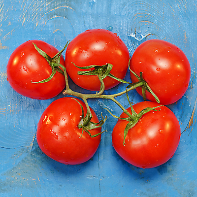 포토 JPG 해외이미지 계절 백그라운드 토마토 채소 표면 건강 사람없음 목재 빨간색 여름 파란색 농작물 젖음 신선 정상 오브젝트 유기농 정사각형 5 성분 거짓말 숙성 채식주의자 핸드메이드 해외202004 해외포토 도형 나무 웰빙 컬러 농업 재료 숫자 채식 파일형식 이미지허브
