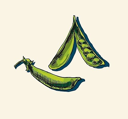 EPS 해외이미지 클립아트 식물 음식 백그라운드 농업 다이어트 채소 일러스트 재료 콩 건강 미술 씨앗 그래픽 초록색 농작물 식당 정원 샐러드 수확 성장 흰색 신선 오픈 시장 우아함 낙서 작음 스케치 먹기 메뉴 그림 유기농 완두콩 날것 내추럴 고립 꼬투리 채식주의자 해외202004 해외일러스트 웰빙 산업 컬러 컨셉 모션 문화예술 곡류 상점 크기 채식 파일형식 벡터 이미지허브