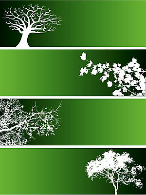 EPS 해외이미지 모양 나무 디자인 배너 꽃 실루엣 종이 선 백그라운드 잎 꽃무늬 일러스트 텍스트 자연 추상 프레임 미술 그래픽 장식 검은색 웹 수확 골동품 화려 심볼 사인 질감 복고 비네팅 그런지 무료 바로크 빅토리아 인기 헤딩 해외202004 해외일러스트 식물 컬러 컨셉 무늬 농업 인터넷 문화예술 촬영기법 축구 생태계 파일형식 벡터 이미지허브