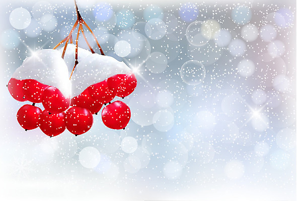 EPS 해외이미지 나무 전통 계절 열매 줄기 백그라운드 크리스마스 겨울 일러스트 텍스트 자연 휴가 새로움 산 프레임 야외 장식 빨간색 초록색 우주 얼음 활발 추위 흰색 나뭇가지 축하 신용카드 눈송이 체리 12월 연도 오브젝트 북쪽 재 눈내림 가문비나무 해외202004 해외일러스트 자연요소 식물 기념일 컬러 컨셉 과일 눈_날씨 금융 날짜 방향 생태계 파일형식 벡터 이미지허브