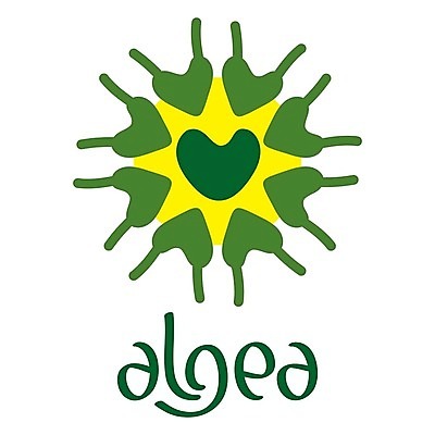 EPS 해외이미지 모양 식물 일러스트 텍스트 생물 세포 건강 실험 초록색 단어 약 환경 자료 에너지 해조류 결과 심볼 유기농 타입 내추럴 광합성 활자 해외202004 해외일러스트 문자 웰빙 컬러 컨셉 의학 해양식물 활자판 파일형식 벡터 이미지허브