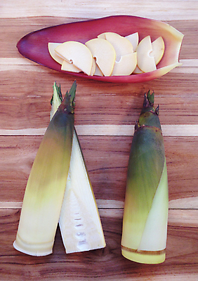 포토 JPG 해외이미지 조각 잎 단면 실내 사람없음 하이앵글 자르기 죽순 나무배경 해외202004 해외포토 식물 뷰포인트 백그라운드 모션 내부 파일형식 이미지허브