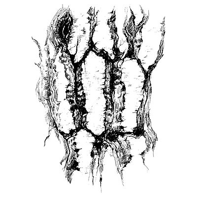 EPS 해외이미지 모양 나무 식물 디자인 공원 종이 야생동물 여행 백그라운드 패턴 일러스트 자연 벽지 추상 잉크 미술 야외 목재 펜 검은색 흰색 거친 낙서 숲 스케치 피부 묘사 그림 질감 나무껍질 내추럴 고립 수목 옛날 스타일 해외202004 해외일러스트 동물 공공시설 컬러 무늬 재료 문화예술 신체부위 필기구 껍질 생태계 파일형식 벡터 이미지허브