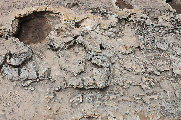 포토 JPG 해외이미지 백그라운드 건축양식 자연 벽지 표면 추상 산 사람없음 장식 힘 흙 골동품 조약돌 거친 균열 유기농 질감 대리석 고생물 고고학 고체 그런지 땅바닥 울퉁불퉁 지질학 화강암 흉터 해외202004 해외포토 웰빙 교육 건축 무늬 재료 모션 생물 바닥 암석 돌_바위 상처 생태계 파일형식 이미지허브