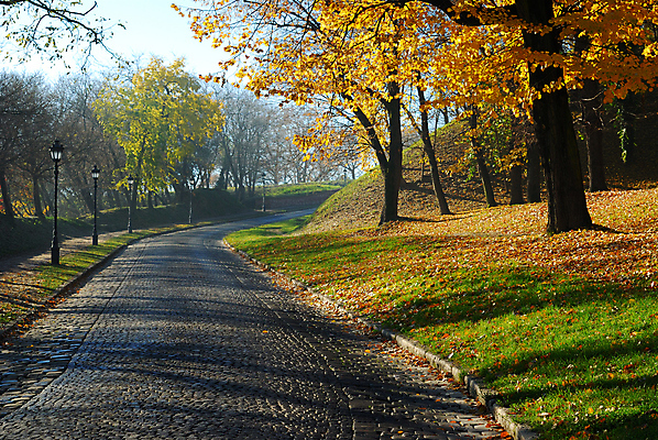 포토 JPG 해외이미지 나무 식물 계절 공원 도로 길 단풍 잎 밭 자연 아침 날씨 그림자 풍경 사람없음 야외 초록색 컬러풀 햇빛 태양 노란색 마을 맑음 트래킹 하이킹 가을 시골 시간 그늘 방법 해외202004 해외포토 주간 자연요소 공공시설 컬러 농업 교통시설 레저 생태계 파일형식 이미지허브