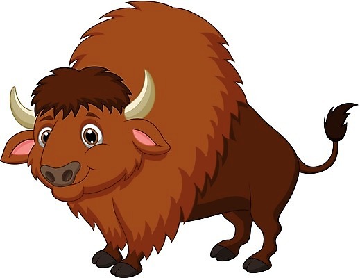 EPS 해외이미지 동물 행복 캐나다 일러스트 포유류 멕시코 미소 갈색 미국 힘 소 큼 만화 들소 심볼 황소 싸움 북쪽 거인 남쪽 마스코트 스텝 초식 캐리커처 콜로라도 텍사스 해외202004 해외일러스트 감정 컬러 북아메리카 모션 표정 크기 방향 그림 파일형식 벡터 이미지허브