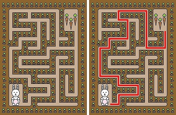 EPS 해외이미지 교육 길 오렌지 일러스트 당근 게임 흰색 토끼 퍼즐 만화 그림 미로 해결 구성 쉬운 해외202004 해외일러스트 컬러 과일 포유류 놀이 뿌리채소 반려동물 파일형식 벡터 이미지허브