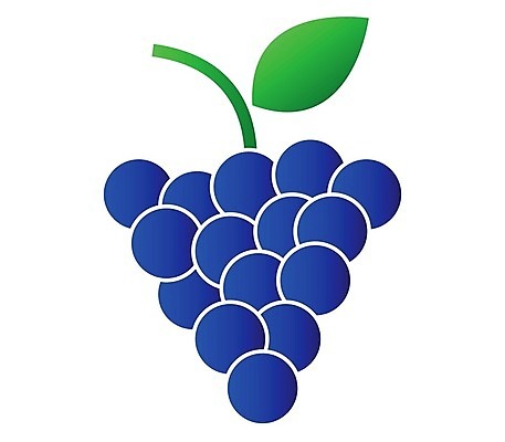 EPS 해외이미지 식물 디자인 열매 선 음식 잎 농업 과일 일러스트 포도 디저트 그래픽 와인 플랫 달콤 먹기 심볼 사인 유기농 심플 윤곽 포도나무 내추럴 고립 숙성 양조장 채식주의자 타격 미니멀 해외202004 해외일러스트 웰빙 산업 모션 주류 맛 과일나무 채식 파일형식 벡터 이미지허브
