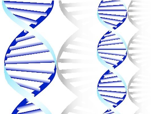 EPS 해외이미지 교육 줄기 과학 패턴 일러스트 세포 나선형 건강 사람 스터디 약 DNA 생명공학 생물학 염색체 바이오 복제 유전 해외202004 해외일러스트 식물 무늬 의학 학습 파일형식 벡터 이미지허브