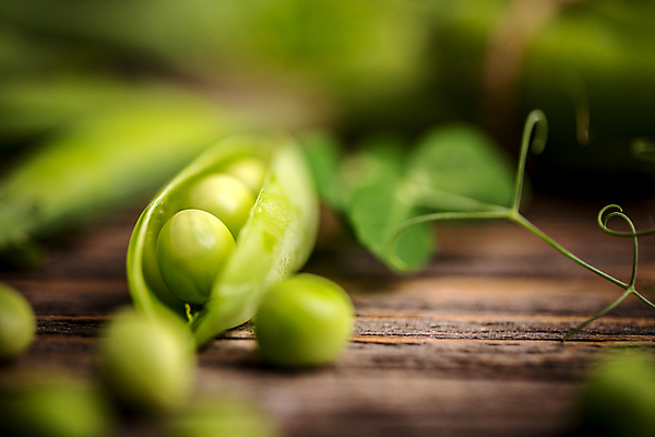 포토 JPG 해외이미지 실내 근접촬영 사람없음 아웃포커스 소프트포커스 완두콩 해외202004 해외포토 뷰포인트 콩 촬영기법 내부 파일형식 이미지허브