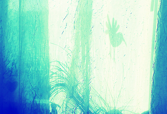 포토 JPG 해외이미지 꽃 행복 실루엣 선 백그라운드 조류 추상 조명 친절 아이디어 미술 사람없음 빛 우주 방 하트 커튼 수수께끼 저녁 편안함 신비 시원함 비밀 그림 질감 무료 스크랩북 스타일 효과 해외202004 해외포토 모양 식물 동물 감정 컨셉 무늬 문화예술 촬영기법 감각 야간 파일형식 이미지허브