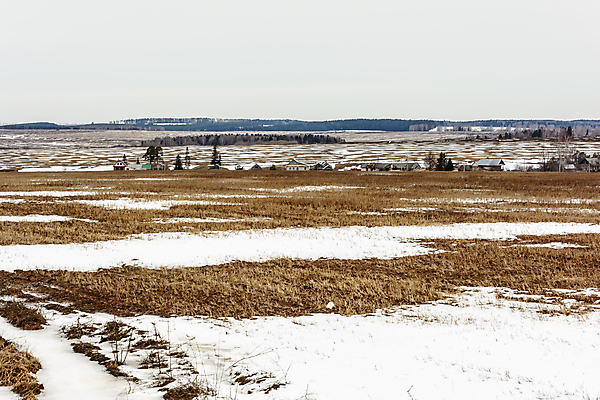 포토 JPG 해외이미지 나무 구름 밭 자연 산 주택 협상 풍경 사람없음 건물 울타리 마을 추위 소나무 언덕 타운 자작나무 헛간 가문비나무 수평선 해외202004 해외포토 자연요소 식물 건축물 농업 비즈니스 담장 도시 생태계 저장고 파일형식 이미지허브
