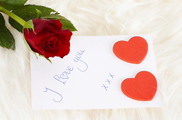 포토 JPG 해외이미지 꽃 잎 텍스트 발렌타인데이 사랑 사람없음 빨간색 장미 마음 신용카드 가시 2월 해외202004 해외포토 식물 감정 컬러 데이이벤트 금융 날짜 파일형식 이미지허브