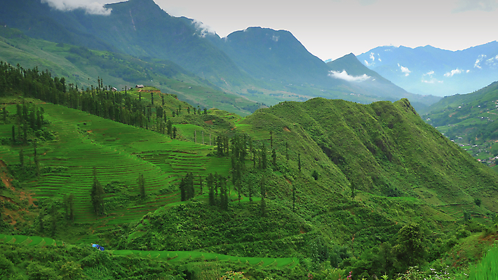 포토 JPG 해외이미지 전통 아시아 여행 농업 자연 밥 산 풍경 사람없음 초록색 농작물 농장 계곡 시골 땅 언덕 베트남 계단식 산악지대 논밭 해외202004 해외포토 나라 산업 음식 컬러 밭 논 동남아시아 생태계 파일형식 이미지허브