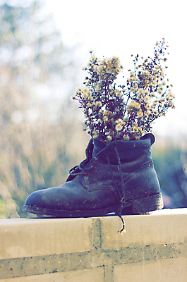 포토 JPG 해외이미지 식물 계절 꽃 신발 컨셉 날씨 아이디어 부츠 사람없음 장식 걷기 꽃병 하이킹 수확 벚꽃 시골 거친 변화 냄비 가죽 배열 원예 복고 먼지 그런지 스타일링 옛날 중고 해외202004 해외포토 농업 모션 레저 취미 솥 파일형식 이미지허브