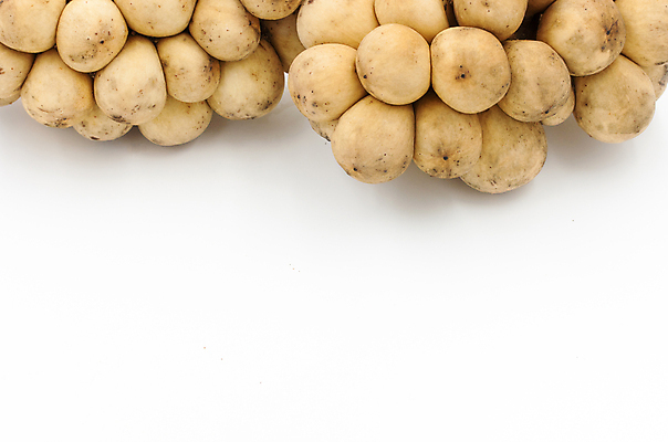 포토 JPG 해외이미지 아시아 음식 과일 공 태국 자연 건강 사람없음 노란색 흰색 신선 달콤 먹기 유기농 날것 인도네시아 채식주의자 해외202004 해외포토 웰빙 나라 컬러 모션 맛 생태계 채식 파일형식 이미지허브