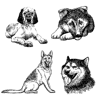 포토 JPG 해외이미지 동물 손 백그라운드 일러스트 포유류 사람없음 반려동물 펜 머리 검은색 개 강아지 스케치 래브라도리트리버 그림 고립 기르기 해외202004 해외포토 컬러 미술 신체부위 필기구 리트리버 돌봄 파일형식 이미지허브