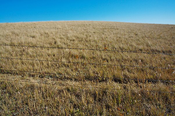 포토 JPG 해외이미지 식물 줄기 자연 하늘 사람없음 파란색 울타리 농장 환경 목장 방목 질감 철사 유지 생태학 해외202004 해외포토 교육 컬러 농업 담장 축산업 생태계 파일형식 이미지허브