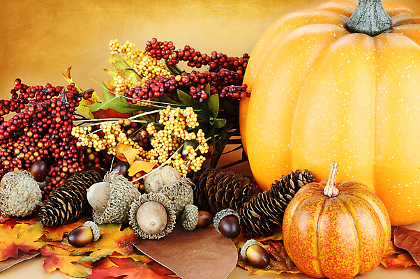 포토 JPG 해외이미지 스튜디오촬영 전통 계절 열매 백그라운드 잎 오렌지 호박 휴가 사람없음 장식 가로 컬러풀 활발 견과류 가을 배열 심볼 오브젝트 그림 도토리 추수감사절 정물화 해외202004 해외포토 식물 기독교 컬러 컨셉 채소 과일 실내 파일형식 이미지허브