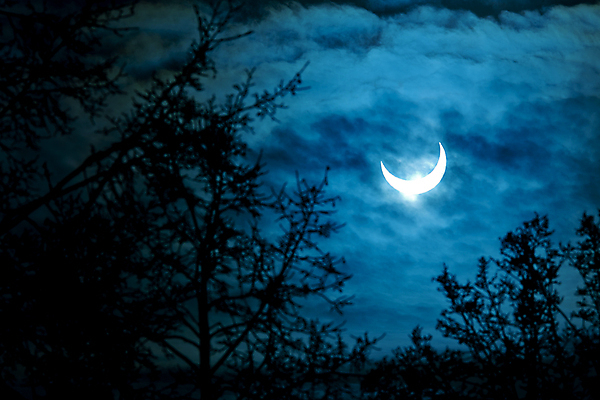 포토 JPG 해외이미지 나무 구름 외관 실루엣 자연 하늘 그림자 풍경 사람없음 야외 빛 태양 평화 침묵 고요 조용 천문학 내추럴 해외202004 해외포토 자연요소 식물 교육 컨셉 촬영기법 소리 생태계 파일형식 이미지허브