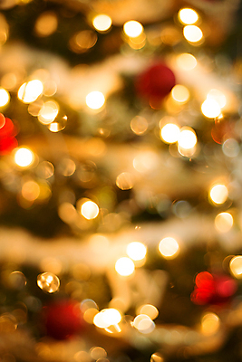 포토 JPG 해외이미지 나무 전통 디자인 계절 행복 별 백그라운드 크리스마스 겨울 텍스트 공 유리 추상 휴가 새로움 기념 매달리기 선물 미술 사람없음 장식 빨간색 초록색 빛 우주 축제 장식볼 흰색 나뭇가지 축하 인사 소나무 신용카드 황금 소프트포커스 12월 연도 질감 전나무 고립 해외202004 해외포토 자연요소 식물 기념일 감정 컬러 컨셉 무늬 모션 재질 문화예술 촬영기법 금융 예절 날짜 파일형식 이미지허브