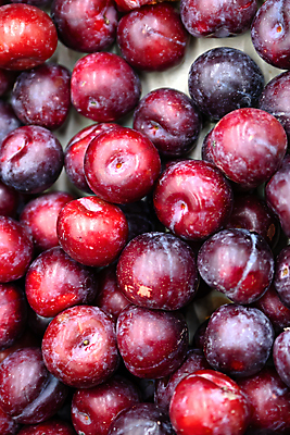 포토 JPG 해외이미지 식물 디자인 계절 음식 백그라운드 패턴 농업 다이어트 과일 재료 자연 건강 사람없음 빨간색 여름 주방 와인 보라색 수확 신선 시장 달콤 맛 먹기 유기농 질감 자두 내추럴 숙성 채식주의자 해외202004 해외포토 웰빙 산업 컬러 컨셉 무늬 모션 주류 생태계 채식 파일형식 이미지허브