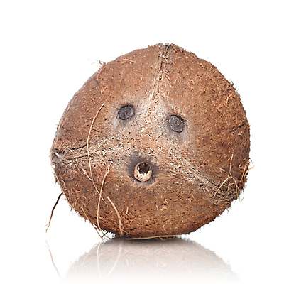 포토 JPG 해외이미지 나무 식물 음식 백그라운드 잎 다이어트 과일 자연 건강 손바닥 사람없음 목재 초록색 갈색 노란색 맑음 침묵 견과류 흰색 신선 맛 그늘 먹기 오브젝트 코코넛 상록수 내추럴 고립 아열대 이국적 채식주의자 해외202004 해외포토 손 컬러 컨셉 재료 모션 날씨 소리 생태계 채식 파일형식 이미지허브