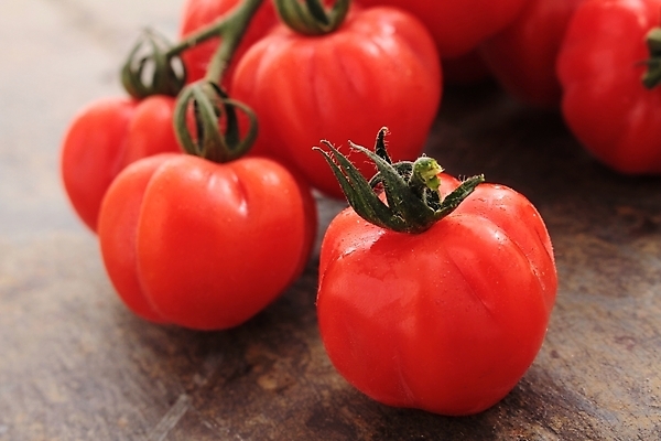포토 JPG 해외이미지 백그라운드 토마토 채소 과일 사람없음 빨간색 식사 저녁식사 샐러드 신선 재산 작음 준비 포도나무 건강식 점심식사 해외202004 해외포토 음식 컬러 금융 크기 과일나무 파일형식 이미지허브