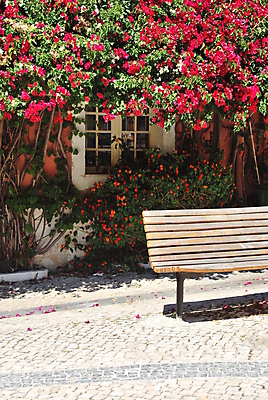 포토 JPG 해외이미지 식물 전통 꽃 벽 분홍색 여행 백그라운드 벤치 건축양식 창문 거리 프레임 사람없음 건물 목재 장식 초록색 컬러풀 골동품 도시 그리기 보행로 클래식 달콤 그림 복고 리스본 해외202004 해외포토 나무 건축물 건축 길 컬러 컨셉 의자 재료 모션 맛 파일형식 이미지허브