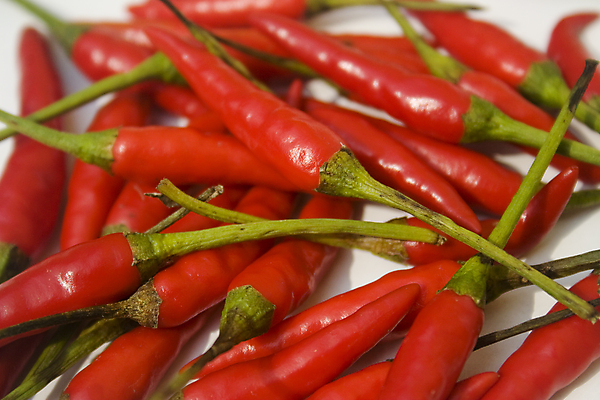 포토 JPG 해외이미지 음식 줄기 채소 재료 태국 고추 건강 요리 동양인 사람없음 빨간색 초록색 쌓기 신선 뜨거움 양념 시장 맛 작음 다발 향신료 유기농 매움 날것 향료 레시피 후추 내추럴 고립 채식주의자 할라피뇨 화상 많음 비건 해외202004 해외포토 식물 웰빙 아시아 컬러 컨셉 모션 인종 상처 크기 채식 향기 냄새 향미료 파일형식 이미지허브