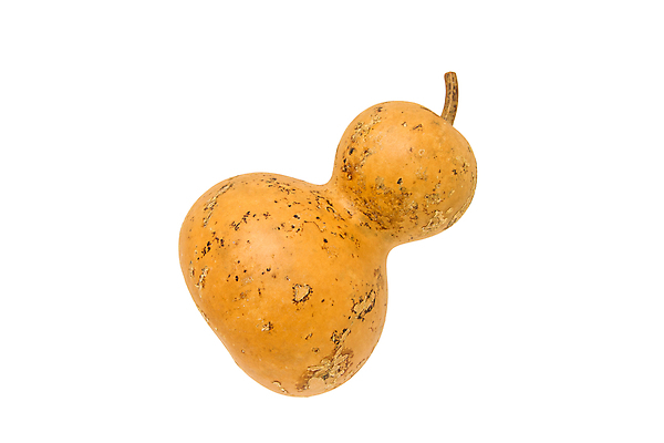 포토 JPG 해외이미지 전통 백그라운드 곡선 채소 자연 사람없음 물 노란색 장비 흰색 원형 플라스크 오브젝트 싱글 유기농 박 고립 조롱박 해외202004 해외포토 자연요소 도형 웰빙 선 컬러 실험기구 생태계 파일형식 이미지허브