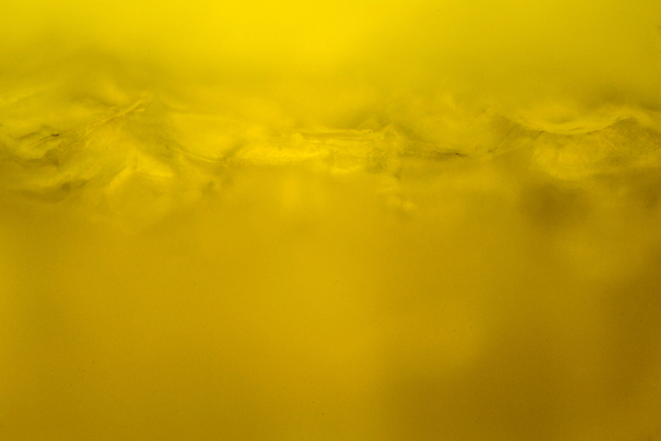 포토 JPG 해외이미지 식물 디자인 음식 과학 백그라운드 패턴 채소 일러스트 재료 표면 추상 미래 생물 세포 건강 현미경 미술 사람없음 그래픽 약 노란색 우주 페인트 얼룩 그룹 실험실 닫기 확대 아래 묘사 유기농 질감 생물학 공상 후추 층 박테리아 그런지 특별함 해외202004 해외포토 웰빙 교육 컬러 컨셉 무늬 의학 모션 문화예술 실험기구 실험 방향 향신료 위치 파일형식 이미지허브