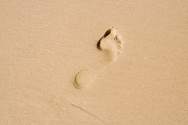 포토 JPG 해외이미지 길 모래 바다 패턴 맨발 자연 휴가 사람 사람없음 야외 노란색 수영 침묵 젖음 탐험 흰색 매끈함 발자국 질감 심플 파라다이스 해외202004 해외포토 컬러 무늬 자국 발 소리 수상스포츠 감각 생태계 파일형식 이미지허브