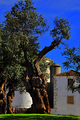 포토 JPG 해외이미지 전통 디자인 유럽 도로 여행 요트 건축양식 교통시설 자동차 거리 파노라마 사람없음 물 금속 기차 도시 만 보트 역사 황금 큼 철 교차로 진행 리스본 서쪽 옛날 전국 해외202004 해외포토 자연요소 건축 나라 길 육상교통 교통 배_교통 재질 대중교통 촬영기법 크기 방향 시설 파일형식 이미지허브