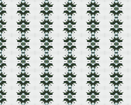 포토 JPG 해외이미지 모양 디자인 꽃 종이 벽 백그라운드 잎 꽃무늬 패턴 곡선 일러스트 자연 벽지 프레임 형상 미술 사람없음 그래픽 장식 컴퓨터 골동품 소용돌이 직물 화려 고급 우아함 실크 두루마리 가득함 그림 질감 복고 정사각형 구식 바로크 빅토리아 엘리먼트 옛날 회복 스타일 해외202004 해외포토 도형 식물 선 컨셉 무늬 문화예술 전자제품 회오리 생태계 파일형식 이미지허브