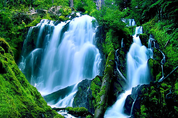 포토 JPG 해외이미지 공원 여행 자연 풍경 사람없음 야외 물 강 폭포 하이킹 개울 숲 통나무 해외202004 해외포토 자연요소 나무 공공시설 레저 생태계 파일형식 이미지허브