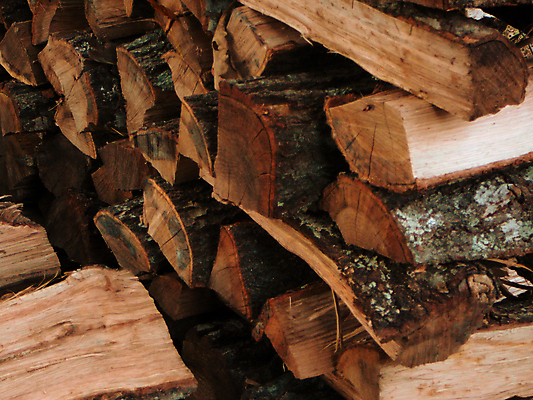 포토 JPG 해외이미지 백그라운드 겨울 사람없음 목재 쌓기 시골 장작 준비 생존 해외202004 해외포토 나무 계절 재료 모션 파일형식 이미지허브