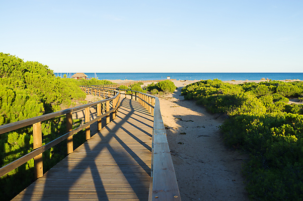 포토 JPG 해외이미지 유럽 풍경 사람없음 야외 목재 가로 여름 모래사장 햇빛 평화 맑음 스페인 지중해 모래언덕 휴양지 해외202004 해외포토 나무 계절 나라 바다 컨셉 재료 날씨 태양 장소 언덕 파일형식 이미지허브