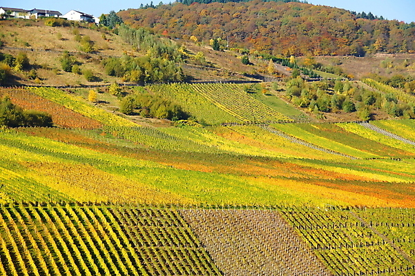 포토 JPG 해외이미지 사람없음 해외202004 해외포토 파일형식 이미지허브