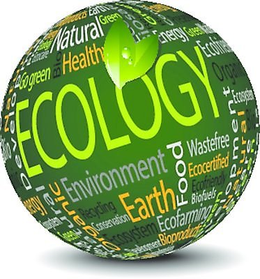 EPS 해외이미지 구름 디자인 컨셉 인터넷 일러스트 비즈니스 텍스트 공 아이디어 창조 안전 타이포그라피 꼬리표 환경 웹 에너지 정보 묘사 생태계 낭비 총알 정의 마케팅 바이오 생태학 여의주 웹디자인 의사소통 해외202004 해외일러스트 자연요소 문자 교육 무기 라벨 파일형식 벡터 이미지허브