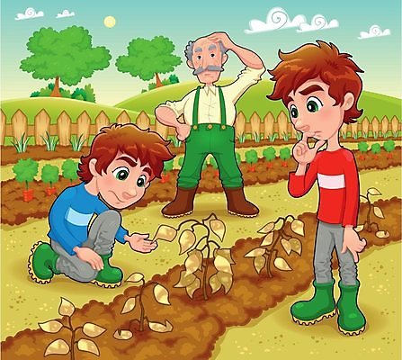 EPS 해외이미지 나무 식물 캐릭터 할아버지 남자 행복 어린이 채소 일러스트 가족 자연 콩 건조 파노라마 미소 풍경 소년 여름 울타리 정원 봄 당근 성장 시골 표현 아빠 만화 쌍둥이 언덕 남동생 마스코트 해외202004 해외일러스트 일러캐릭터 계절 노년 감정 관계 곡류 뿌리채소 촬영기법 표정 사람 담장 생태계 동생 파일형식 벡터 이미지허브