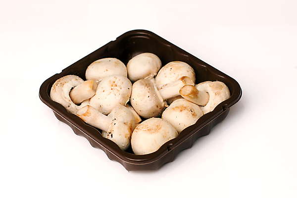 포토 JPG 해외이미지 음식 재료 쟁반 사람없음 갈색 버섯 작음 정사각형 서빙 고립 해외202004 해외포토 도형 컬러 크기 파일형식 이미지허브