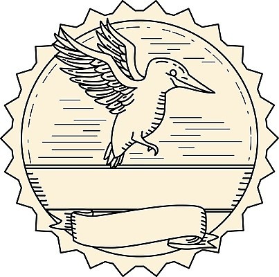 EPS 해외이미지 배너 선 일러스트 조류 장식 두루마리 물총새 해외202004 해외일러스트 동물 파일형식 벡터 이미지허브