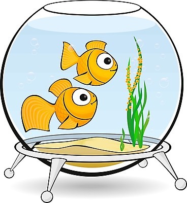 EPS 해외이미지 동물 커플 응시 여자 남자 오렌지 일러스트 자연 유리 바닥 사랑 어류 미술 미소 장식 물 파란색 반려동물 수중 거품 액체 사발 해조류 황금 둥지 만화 어항 그림 금붕어 지느러미 감시 수족관 리빙 동물상 캐비아 해외202004 해외일러스트 자연요소 시선 감정 컬러 과일 식재료 관계 재질 문화예술 표정 사람 조형물 수중동물 사기그릇 해양식물 생태계 파일형식 벡터 이미지허브