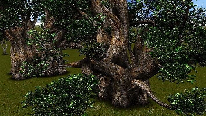 포토 JPG 해외이미지 모양 나무 식물 공원 실루엣 야생동물 여행 오렌지 아프리카 자연 하늘 풍경 사람없음 야외 파란색 빛 세트 세계 태양 노란색 일출 환경 황혼 일몰 나뭇가지 원주민 큼 제비꽃 사파리 윤곽 내추럴 마다가스카르 사바나 옛날 이국적 전국 해외202004 해외포토 자연요소 동물 공공시설 꽃 나라 컬러 과일 촬영기법 노을 아프리카인 크기 생태계 파일형식 이미지허브